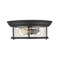 Z-Lite Sonna 2 Light Flush Mount, Matte Black And Clear Seedy 727F13-MB - alternate 5